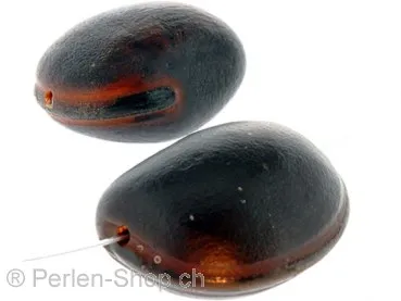 Samen Büffelauge, Farbe: Braun, Grösse: 32 mm, Menge: 1 Stk.