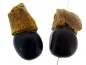 Preview: Tomato Bodhi Seed, Color: brown, Size: ±39x20mm, Qty: 1 pc.