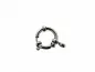 Preview: Edelstahl Federring mit Ring, Farbe: Platinum, Grösse: ±12mm, Menge: 1 Stk.
