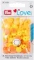 Preview: Prym Love Druckknopf Color Snaps, gelb, Grösse: 12.4 mm, Karte 30 Stk.