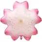 Preview: Rico Folienballon Kirschblüte, pink