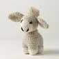 Preview: Hoooked Crochet Set Donkey Joe Eco Barbante Lava, Color: Mint, Quantity: 1 piece.