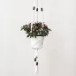 Preview: Hoooked Zpagetti Macramé Hanging Basket Cotton White, Color: white, Quantity: 1 piece.