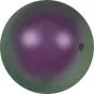 Preview: ON SALE-New Color Swarovski Crystal Pearls 5811, Farbe: Indescent Purple Pearl, Grösse: 14 mm, Menge: 5 Stk.