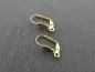Preview: Stainless Steel Ear Hook, Color: gold plated, Size: ±19x10mm, Qty: 2 pc.