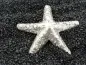Preview: pendentif étoile de mer d'argent 925, Couleur: ARGENT 925, Taille: ±40mm, Quantite: 1 piece