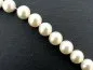 Preview: Shell-Beads, Color: salmon, Size: ±10mm, Qty: ±40 pc. String 16"