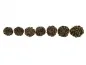 Mobile Preview: Rudraksha Seed, Color: brown, Size: ±16mm, Qty: 1 pc.