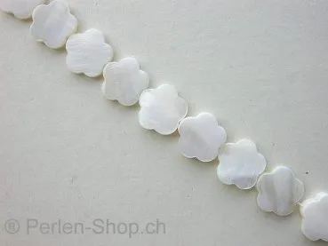 Shell Beads flower, white, ±16mm, string ± 25 pc.