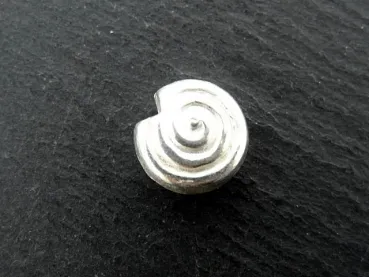 Escargot perle argent 925, Couleur: ARGENT 925, Taille: ±17x8mm, Quantite: 1 piece