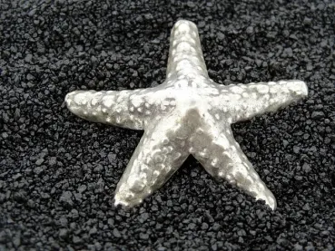 Silver Pendant Sea Star, Color: SILVER 925, Size: ±40mm, Qty: 1 pc.
