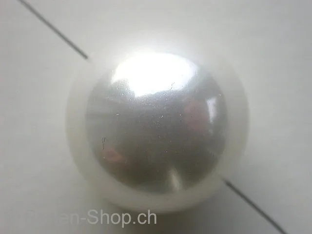 Shell pearl, white, 20mm, 1 pc.