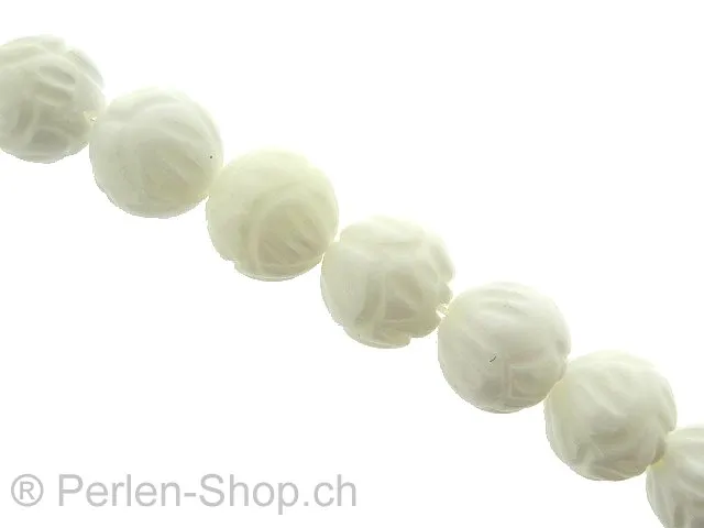 coquillage perle, , Couleur: blanc, Taille: 10mm, Quantite: chaîne ± 40cm, (±44 piece)
