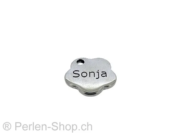 Stainless Steel Pendant, Color: Platinum, Size: ±14mm, Qty: 1 pc.