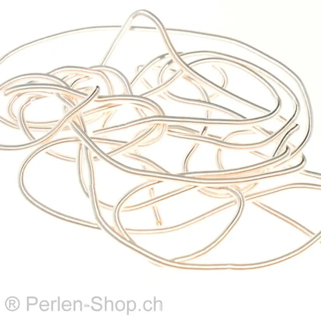 French Wire (würmli), Color: Silber, Size: ±0.38 mm, Qty: ±70cm