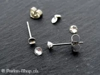 Stainless Steel Ear Plug, Color: platinum Size: ±3mm, Qty: 2 pc.