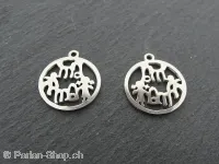 Stainless Steel Family, Color: Platinum, Size: ±15x1mm, Qty: 1 pc.