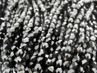 Perles de verre à facettes, Couleur: noir, Taille: ±4mm, Quantite: ±100 piece