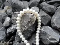 Top Q, perles d'eau douce, Couleur: blanc, Taille: ±9-10mm, Quantite: chaîne ±38cm, (±51 piece)