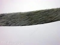Leather Cord, grey, ±10x2mm, ±150cm