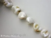 Shell parts, white, ±15/23mm, string ± 22 pc.
