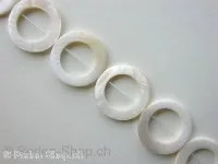 Shell flate round, white, ±30mm, string ±13 pc.