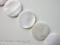 Shell Beads rround flatt, white, ±30mm, ±4mm thick, 2 pc.