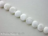 Shell Beads flat round, white, ±13mm, string ±31 pc.