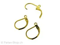 Stainless Steel Ear Hook, Color: Gold, Size: ±14x9mm, Qty: 2 pc.