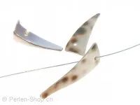 Shell spikes, Color: white, Size: ±24mm, Qty: 20 pc.