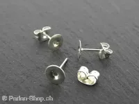 Ear Plug, Color: silver colored, Size: ±6mm, Qty: 2 pc.