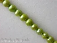 Fresh water beads, grün, ± 6mm, string 16"