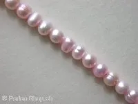 Fresh water beads, rose, ± 6mm, string 16"