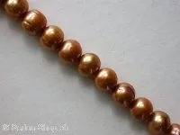 Fresh water beads, bronze, ± 8mm, string 16"