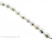 Fresh water b. rise, Color: white, Size: ±5-8mm, Qty: ±59 pc.string 16"