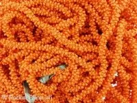 Rocailles chain em motte, Couleur: orange, Taille: ±6mm, Quantite: 10cm