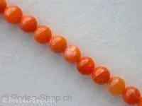 Shell-Beads, orange, ± 5mm, ± 86 pc.string 16"