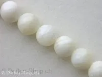 Shell-Beads, white, ± 8mm, ± 51 pc.string 16"